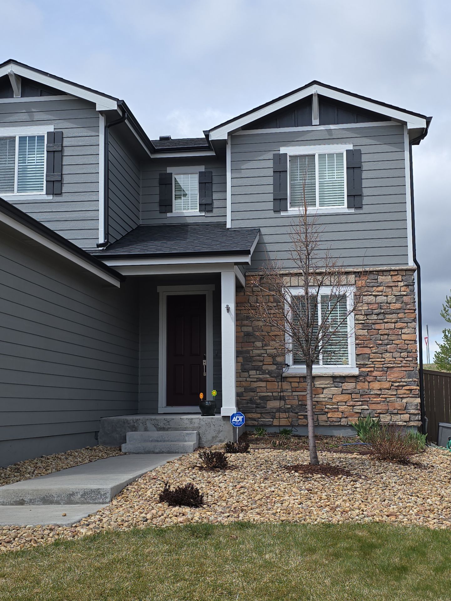 Professional painting services